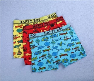 Boys Apakšveļa Organic